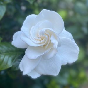 Meet your Posher, Bevin